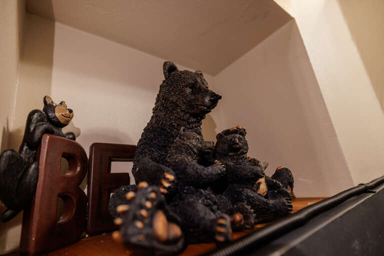 Misty Mountain Hop - Cobbly Nob Resort Misty Mountain Hop - Cobbly Nob Resort