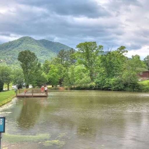 Catch and Release Fishing at Honeysuckle Meadows
