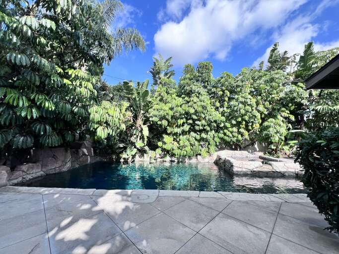 Sunlit Swimming Spot Surrounded By Lush Greenery Sunlit Swimming Spot Surrounded By Lush Greenery