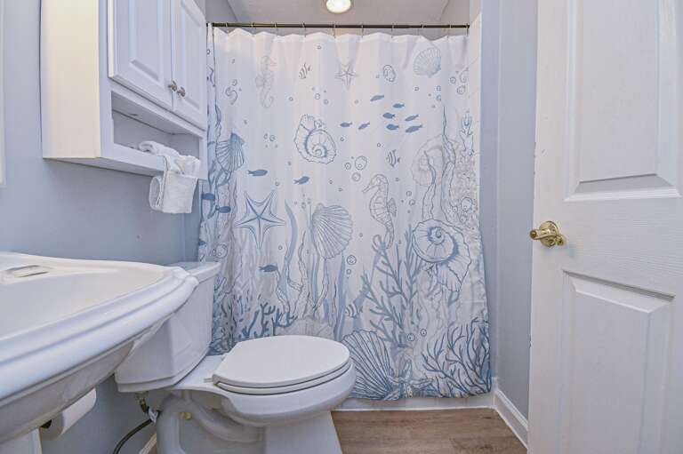 Cozy bathroom with charming ocean-inspired decor and bright lighting