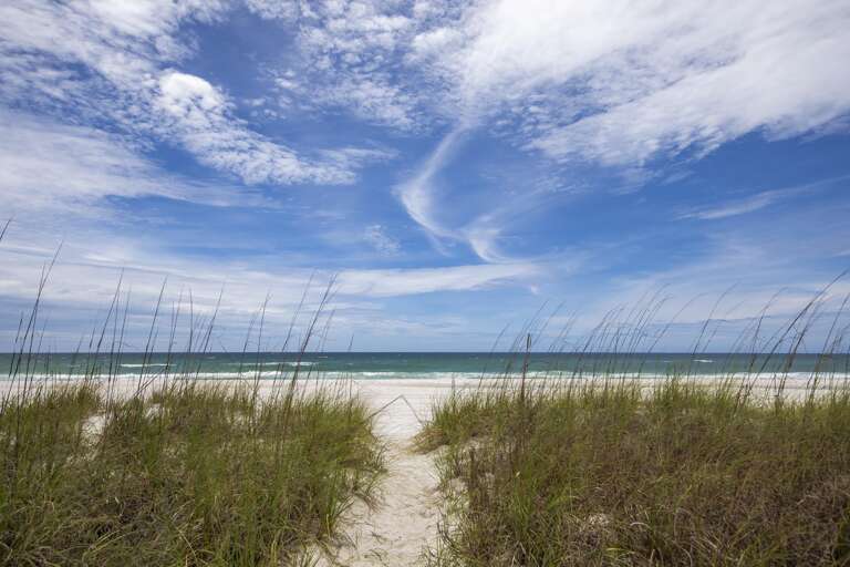 Sand dunes with tall grasses frame a narrow path leading to the white sand beach and turquoise ocean waves.
