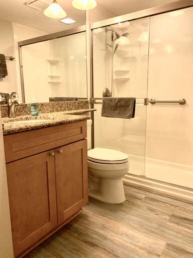 Frameless Glass Showers