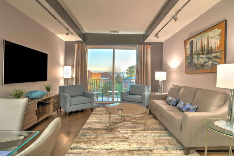 Living room and balcony