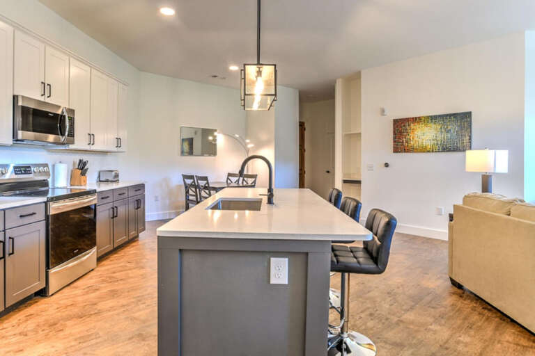 Open Concept Kitchen, Living, and Dining Room Open Concept Kitchen, Living, and Dining Room