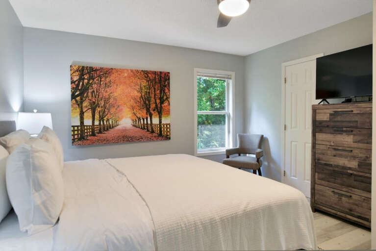 Find Rentals Find Rentals