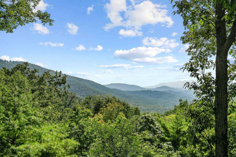 Asheville Home Rental Asheville Home Rental