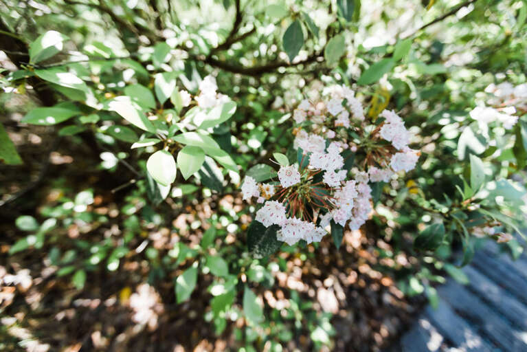 AirBnB211192-213 - Copy.jpg