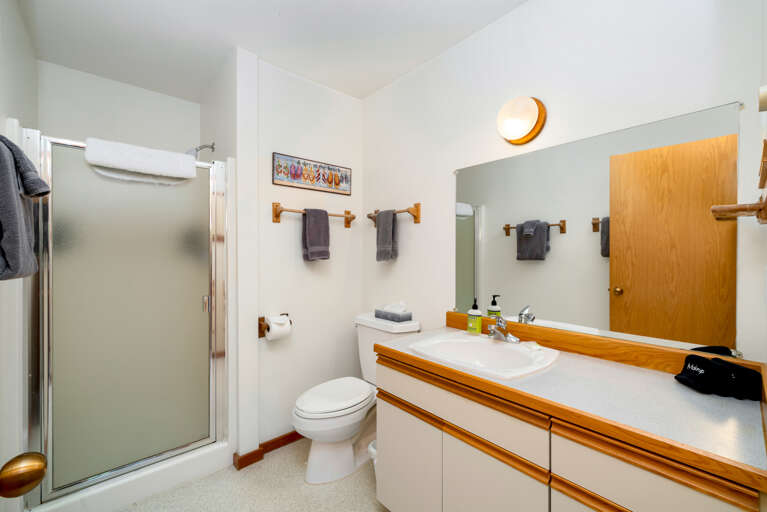 Downstairs Full bath with Walk in Shower 