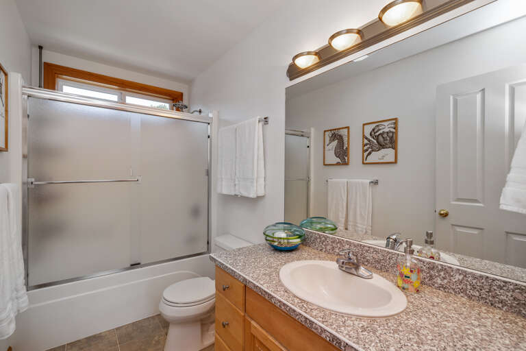 Downstairs full bath with shower/tub combo