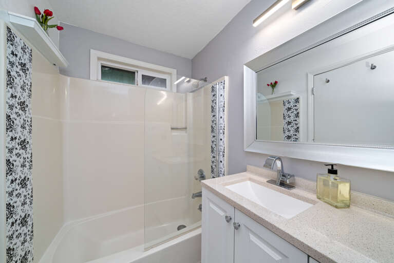 Master bedroom bathroom-Combination Tub/Shower