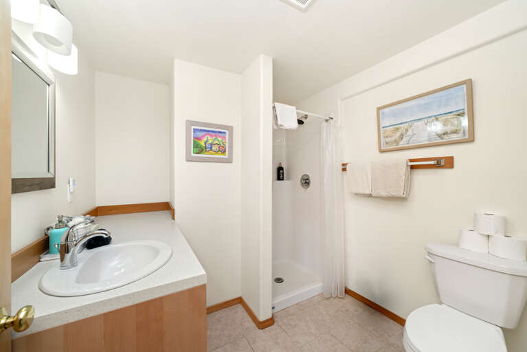 Downstairs full bath with walk-in shower. 