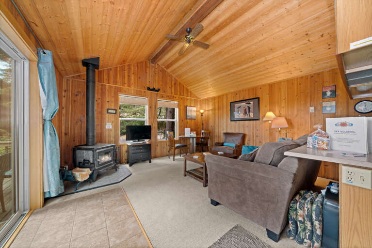 Living room with woodstove, streaming TV, DVD player. 