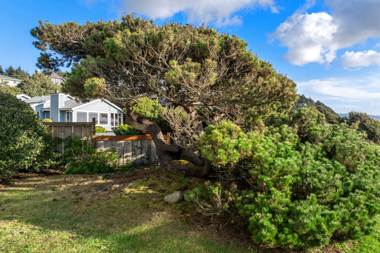 Ocean facing deck with outdoor dining and lounge chairs, large grass yard, direct access to the beach.