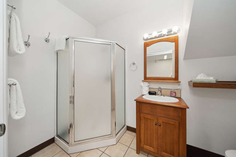 Basement full bath with walk in shower