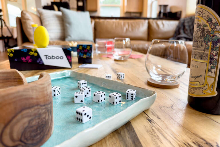 Perfect house for family fun