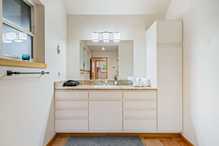 Downstairs bathroom vanity area