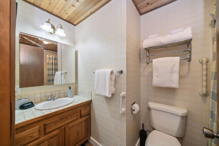 Hall bathroom with tub/shower 