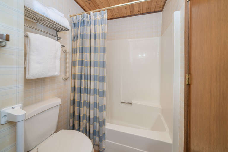 Tub shower combo in the hall bathroom