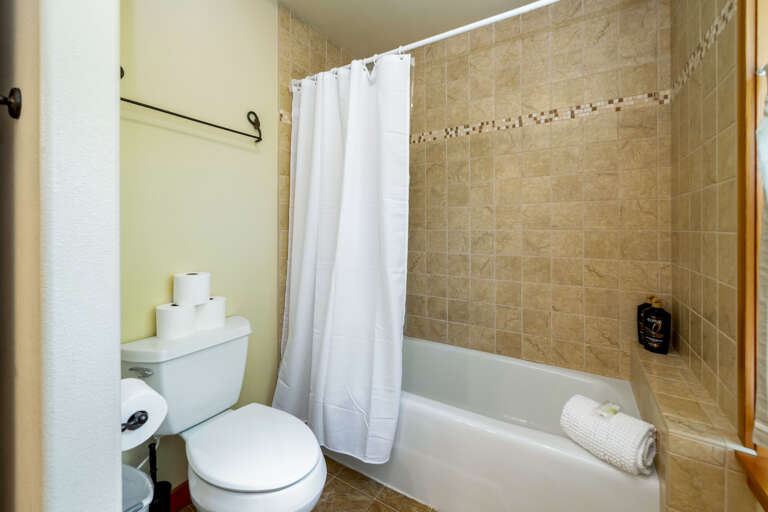 Tub and shower combination in the downstairs full bathroom.