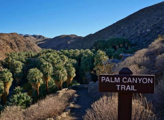 Discover the beauty of Palm Canyon Trail! ✨ Immerse yourself in nature as you hike through stunning landscapes and towering palm trees. Perfect for adventure seekers and tranquility lovers alike.  Discover the beauty of Palm Canyon Trail! ✨ Immerse yourself in nature as you hike through stunning landscapes and towering palm trees. Perfect for adventure seekers and tranquility lovers alike.