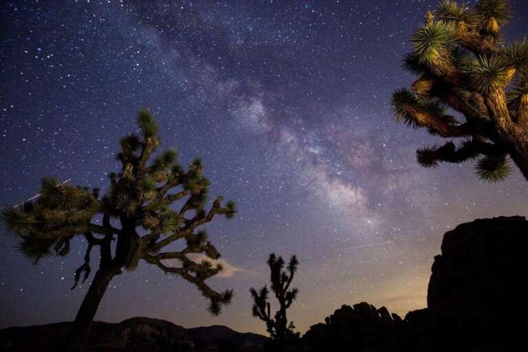 Adventure awaits at Joshua Tree National Park! ✨ Explore otherworldly landscapes, iconic Joshua trees, and breathtaking sunsets. Perfect for hiking, stargazing, or simply soaking in nature’s beauty. Adventure awaits at Joshua Tree National Park! ✨ Explore otherworldly landscapes, iconic Joshua trees, and breathtaking sunsets. Perfect for hiking, stargazing, or simply soaking in nature’s beauty.