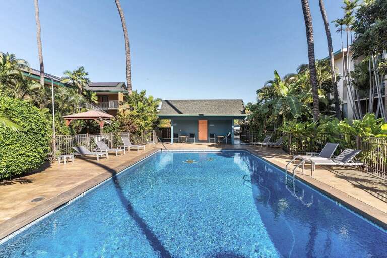 Find Rentals