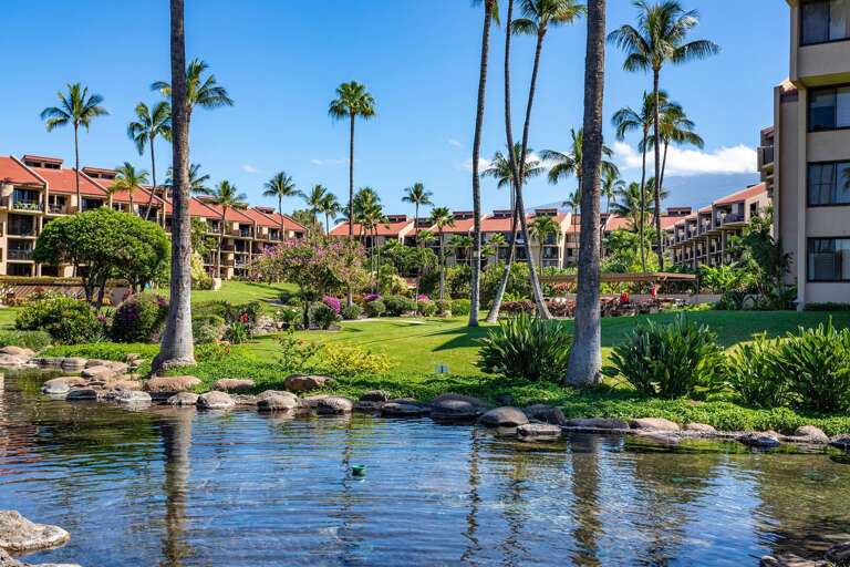 Find Rentals Find Rentals