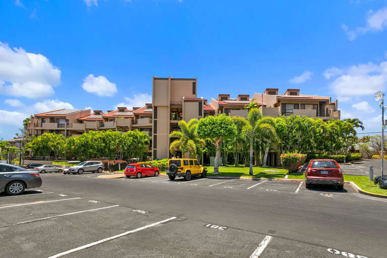 Palm-lined Parking Path Leading To A Large Multi-story Building Under Blue Skies