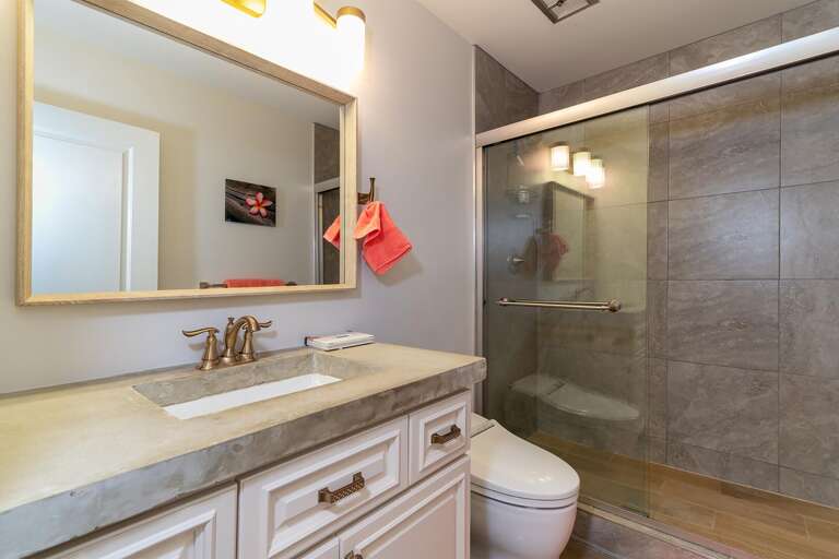 Modern Bathroom and Walk-in Shower
