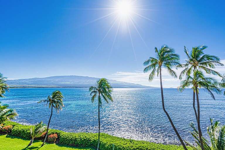 Tropical Seaside Landscape With Palm Trees And Ocean Tropical Seaside Landscape With Palm Trees And Ocean