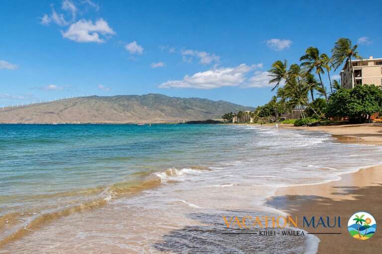 Menehune Shores 606