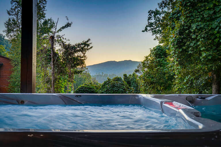 Covered swim spa with Smoky Mountain Views