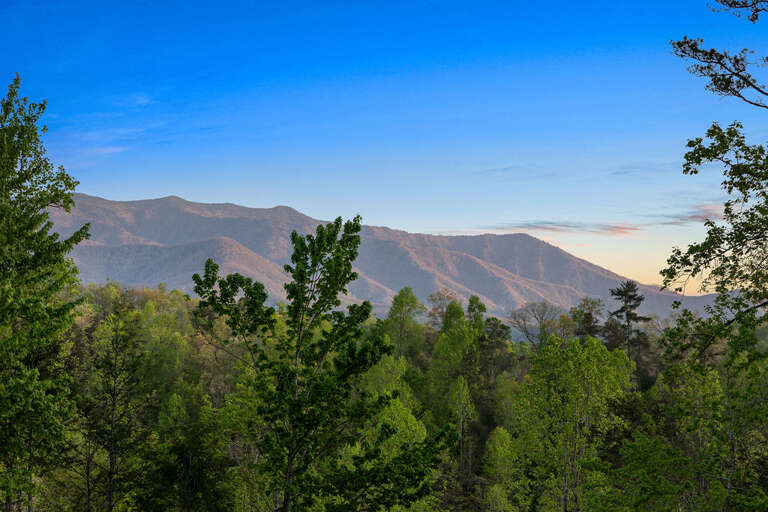 Breezy Blue Skies Over Serene Spruce Speckled Slopes
