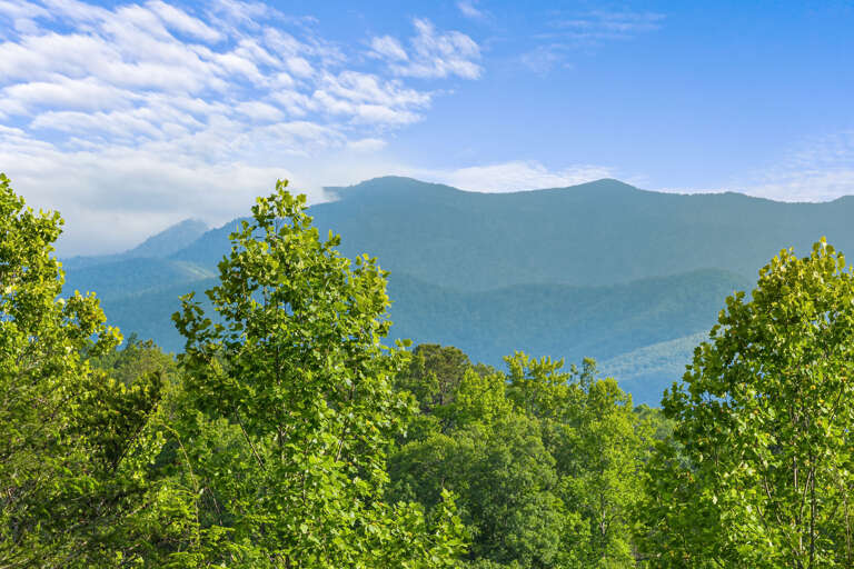 Sevierville Cabin Rental Sevierville Cabin Rental