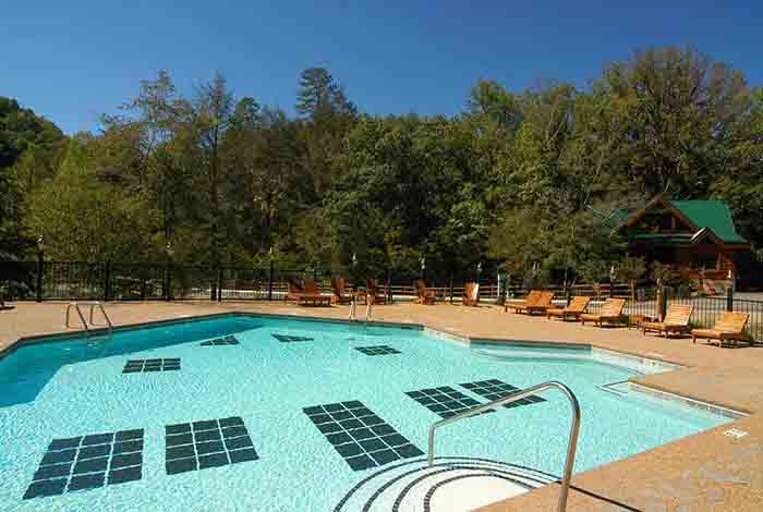 A Bear's Poolin Paradise 