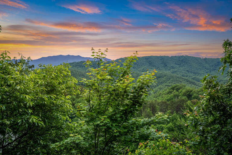 Pigeon Forge Cabin Rental