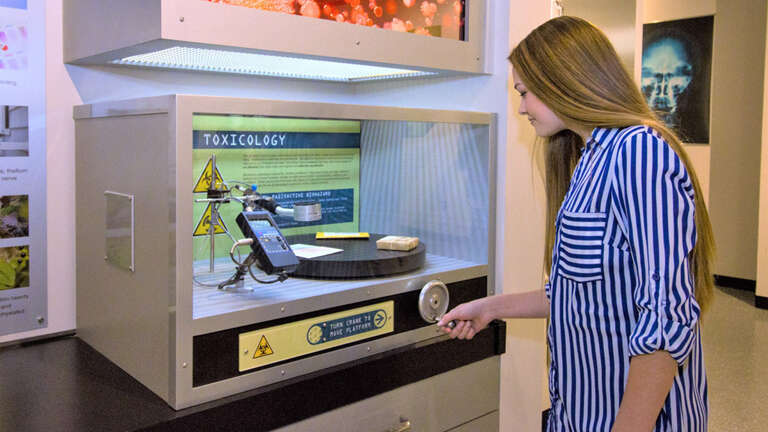 Woman Interacting With A Toxicology Exhibit At A Science Museum