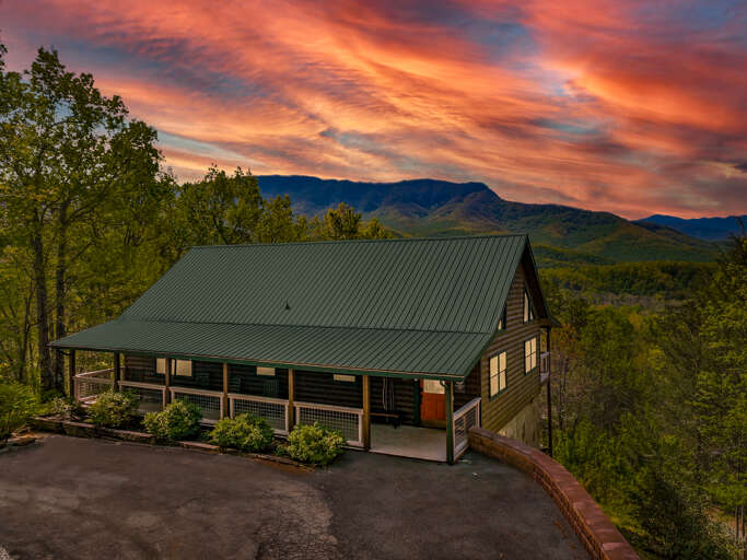 Bearded Bear Lodge 