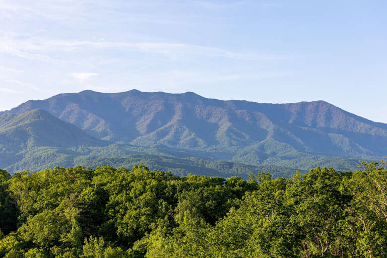 Sevierville Cabin Rental