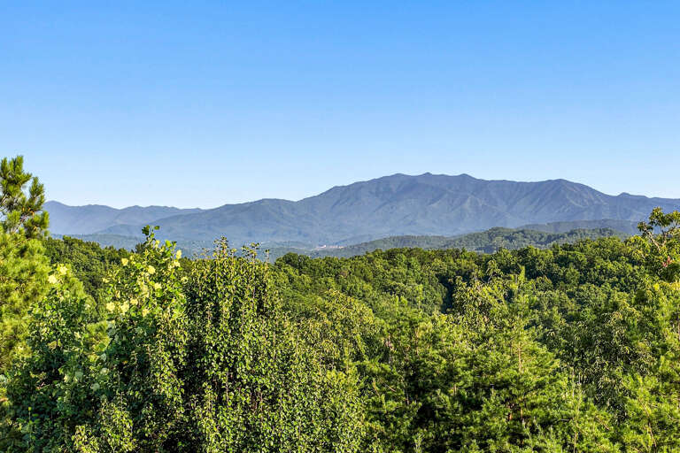 Sevierville Cabin Rental