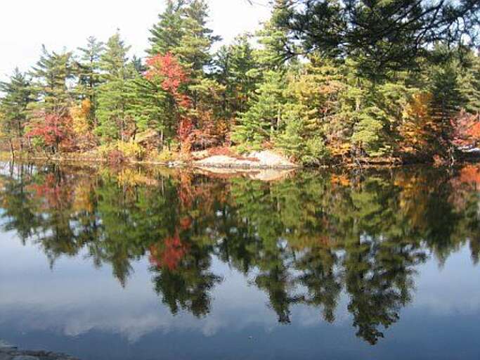 Beautiful Fall Colors 