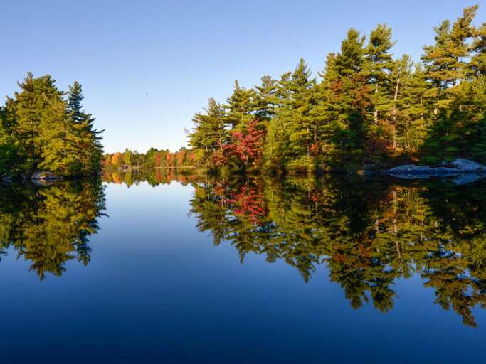 Mirror Images on Tranquil Waters.