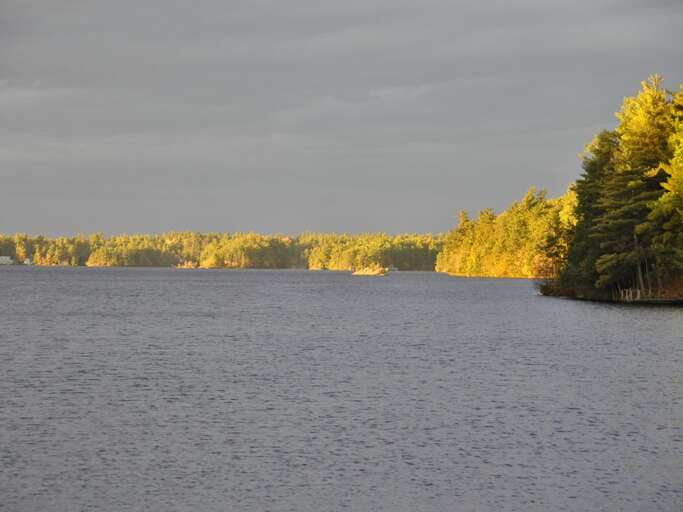 Trout Lake is Beautiful!
