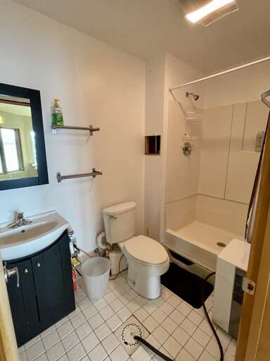 Lower Level Bathroom