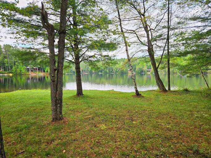 Back Deck - Serene Loon Lake