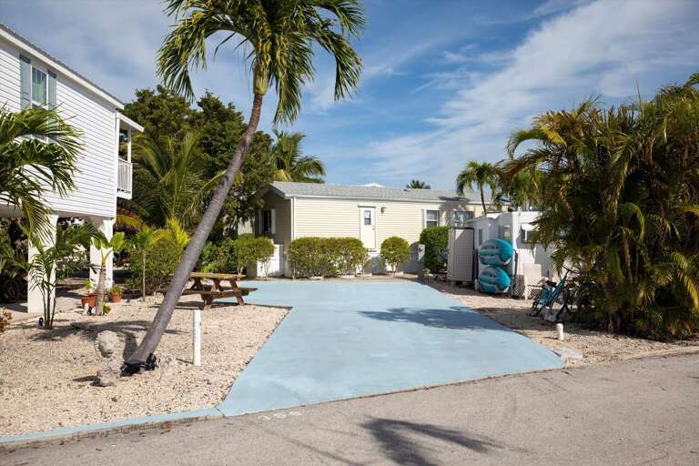 Palm Fringed Path Leading To A Light-colored House Under A Bright Blue Sky