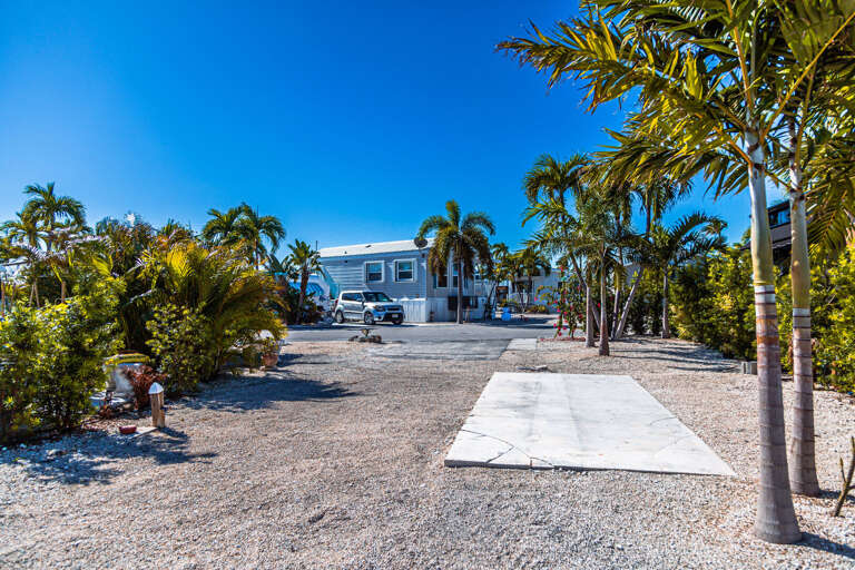 Sunny Scene Showing A Spacious Lot With A Vacation Rental Surrounded By Palm Trees