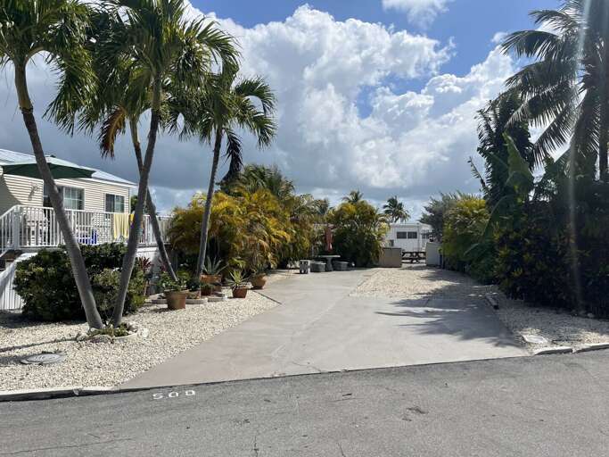Palm-lined Pathway Leading To White Buildings Under Blue Skies
