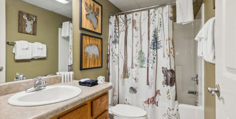 Find Rentals Find Rentals