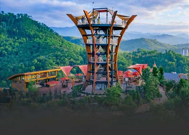 One Free Adult Admission INCLUDED with each Reservation for Anakeesta One Free Adult Admission INCLUDED with each Reservation for Anakeesta